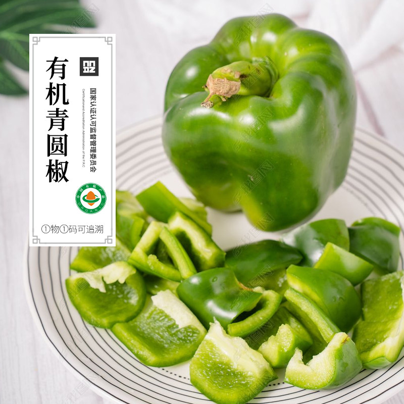 有机青圆椒有机蔬菜新鲜蔬菜有机菜叶菜水果沙拉无农残顺丰