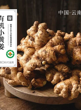 有机小黄姜生姜有机云南小黄姜带泥发货