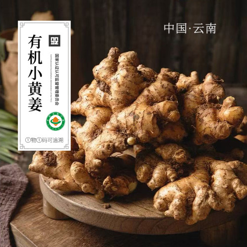 有机小黄姜生姜有机云南小黄姜带泥发货