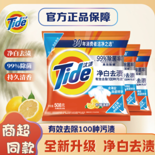 汰渍官方正品净白去渍洗衣粉508g小袋香味持久机洗手洗洗衣粉袋装