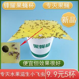 果蝇杯小飞虫灭杀神器果蝇诱捕器诱粘剂厨房水果店家用苍蝇蚤蝇贴
