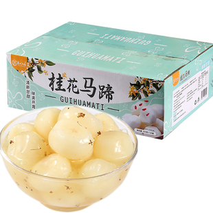 桂花马蹄开胃整箱装餐饮商用批发烘焙专用新鲜荸荠糖水甘甜即食果