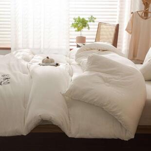 A类原棉大豆被春秋薄款儿童夏季薄被子四季被太空被芯可机洗冬被