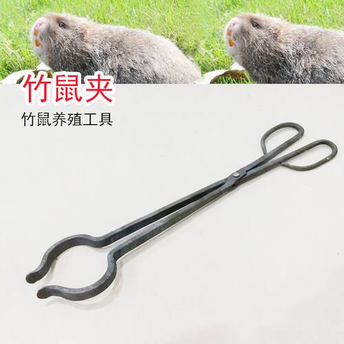 野猫专用夹子新款竹鼠夹子加厚狗钳夹猫钳抓专用夹家用防咬养殖用