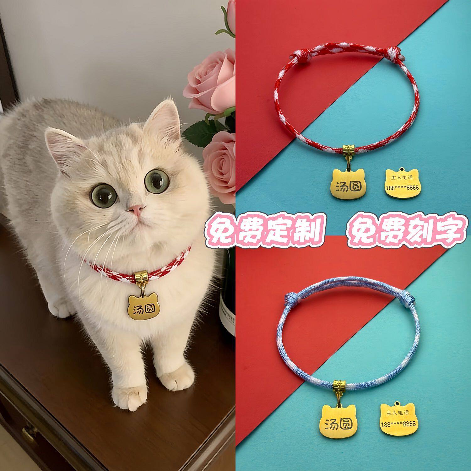 幼猫专用脖圈猫猫项链带铃铛狗狗猫咪铭牌身份牌防走丢牌刻字宠物