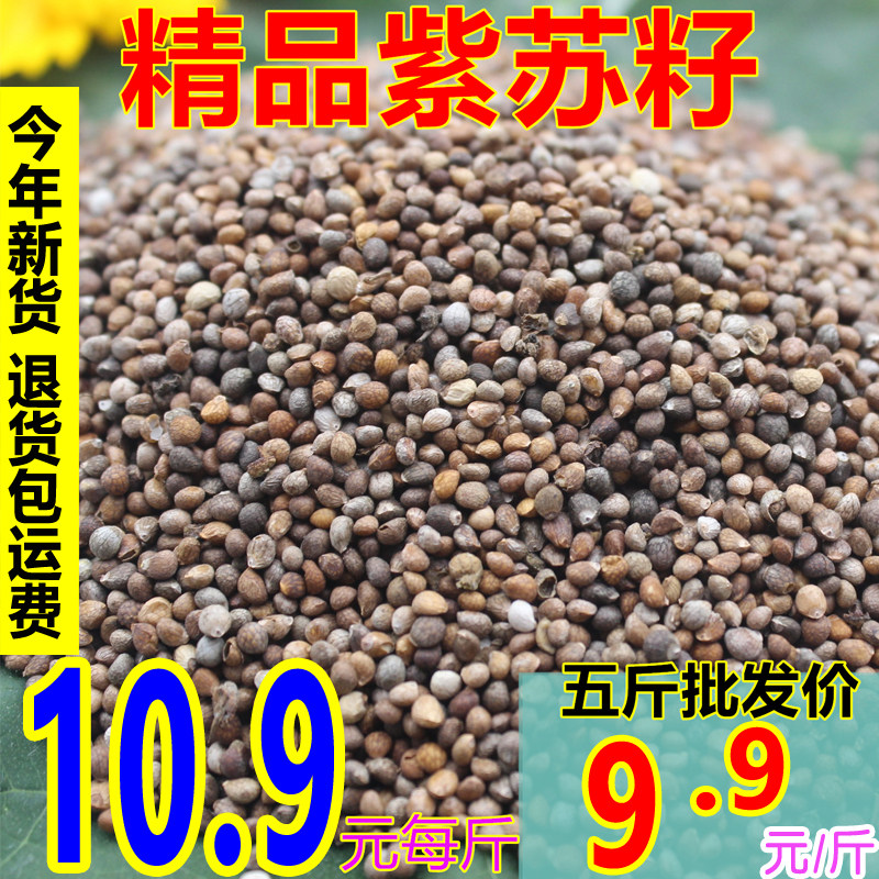 今年新货东北紫苏籽粒生重油颗粒可榨油苏麻子榨油料烧烤料500g25