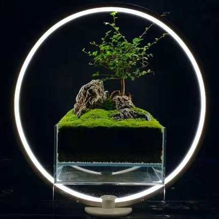 LED鱼缸灯水草景观 彩虹灯 迷你微景观水族植物补光灯水草灯