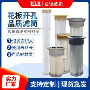 花板开孔滤筒弹片密封工业除尘滤筒过滤粉末新能源锂电粉末滤筒