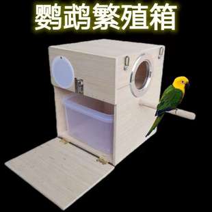 虎皮大头牡丹玄风鹦鹉竖式 孵化箱大号木质 繁殖箱鹦鹉