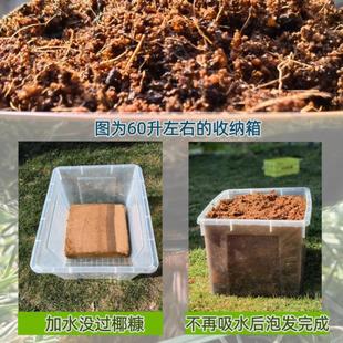 9斤大块椰砖营养土通用型种菜耶砖壳养花土盆栽椰糠土壤进口椰砖