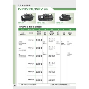 台湾安颂双联泵IVPQ4-75AM-F-R-86C-10