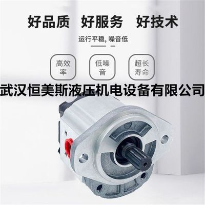 Rexroth力士乐内啮合齿轮油泵AZPFF-1X-016/005RRR2020MB，比例换