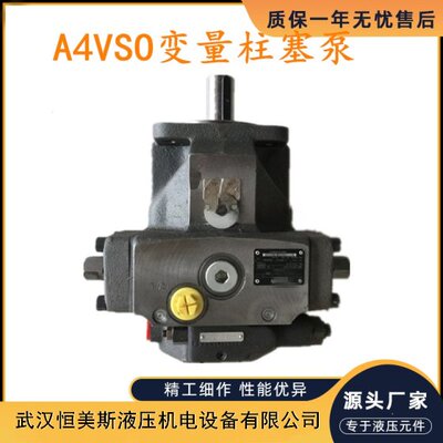 德国Rexrorh/力士乐变量轴向柱塞泵A4VSO125LR2N/30R-VPB13NOO,齿