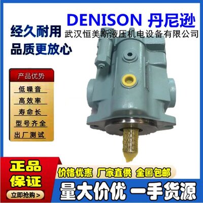DENISON丹尼逊工程柱塞泵PV20-2R5D-C00，柱塞泵A4VS0125LR2N/22L