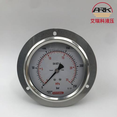 HM100-250-B-G1-2-FF贺德克压力表 0-250bar量程有库存
