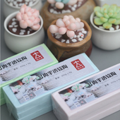 软陶多肉专用半透粉 半透蓝系列软陶泥 半透绿