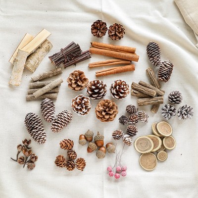 Natural Christmas Craft Kit, with Pine Cones and Wood Slices