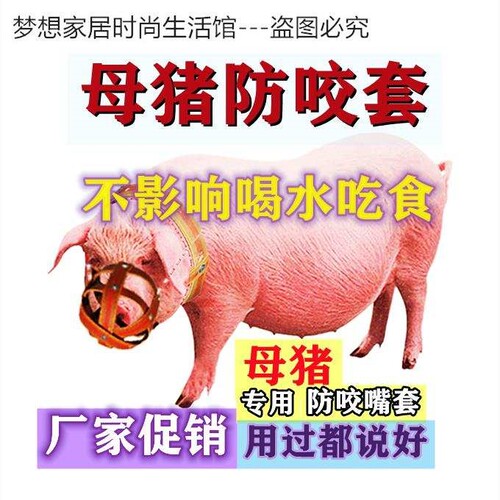 口罩笼嘴咬嘴专用小型养猪场笼套马牛羊猪嘴套绳子老母猪防咬仔猪