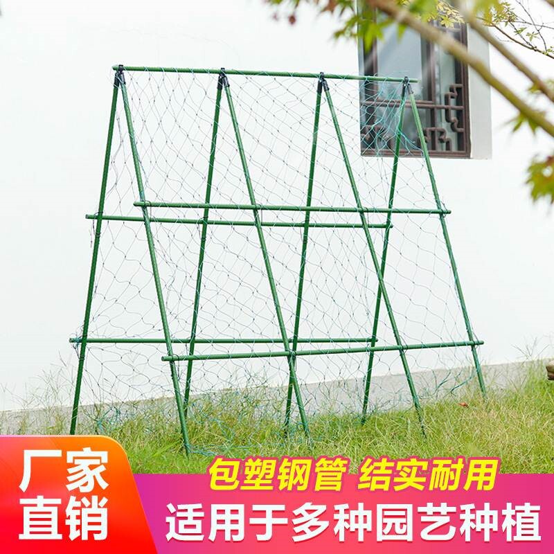 葡萄架爬藤网阳台葡萄爬藤架葡萄树爬藤网阳台葡萄架爬藤支架植物