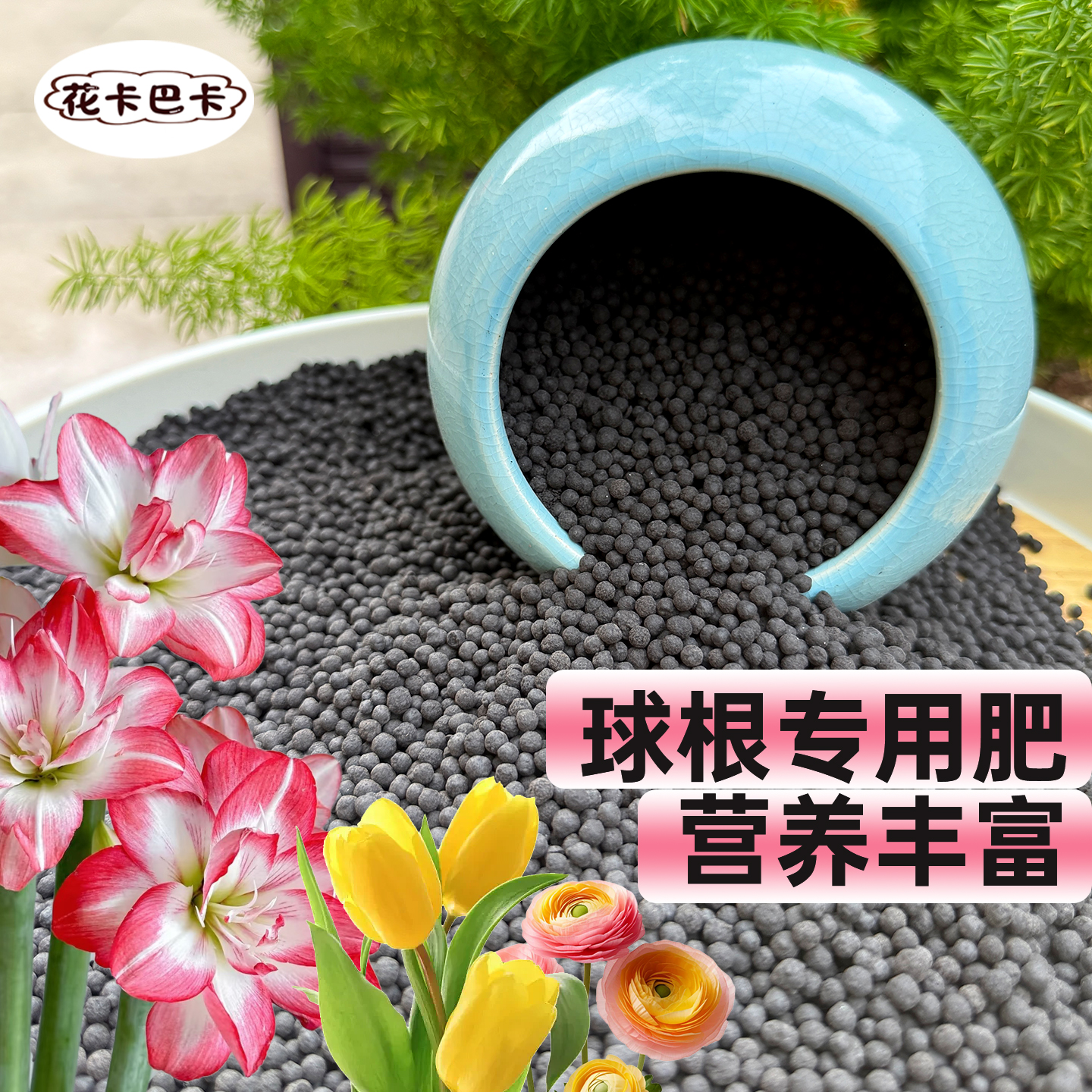 种球专用肥料朱顶红郁金香风信子