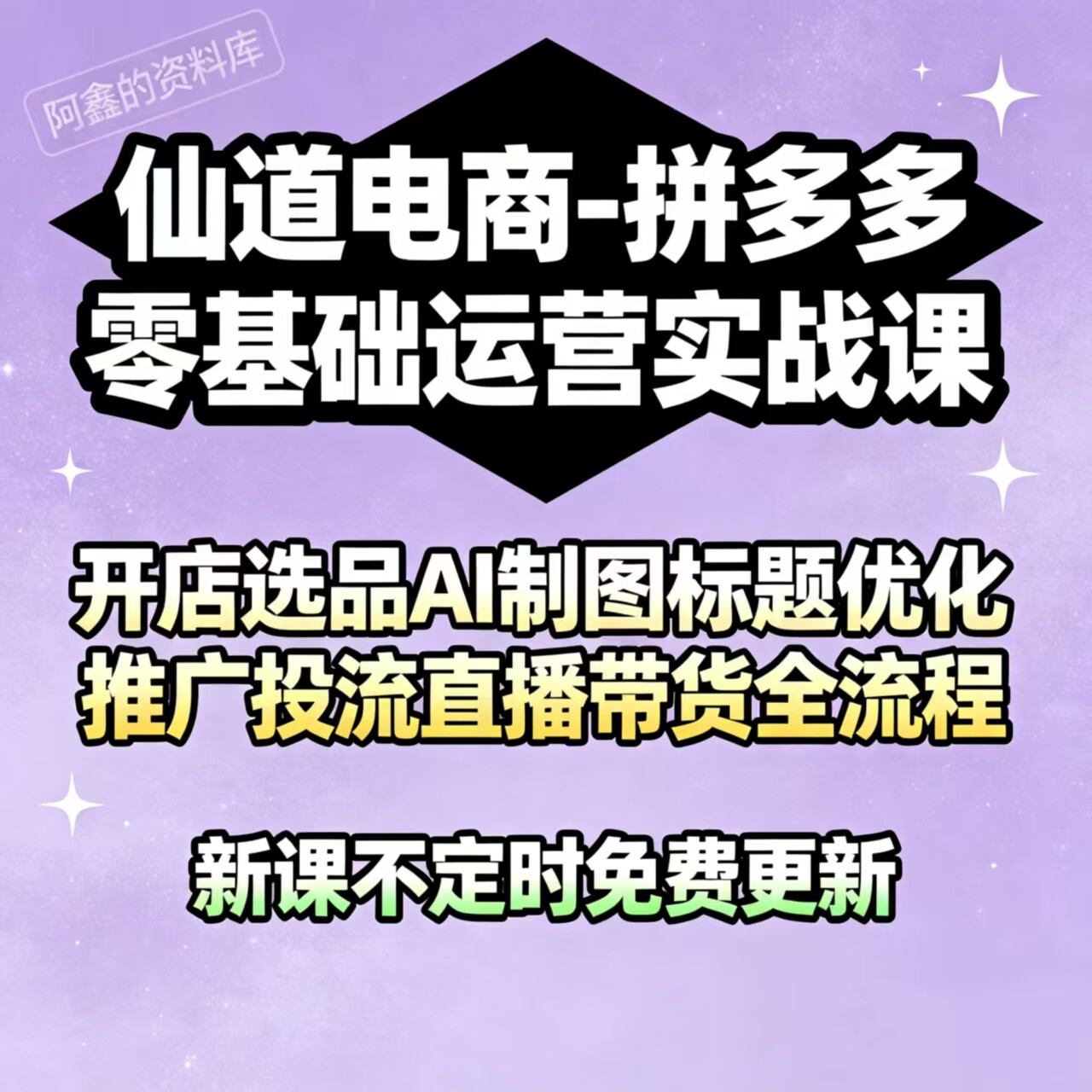 仙道电商-拼多多零基础实战课：刻录盘个性化服务
