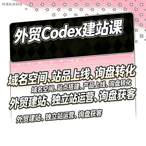 外贸独立站AI建站课零基础Codex+WordPress搭建高转化询盘站