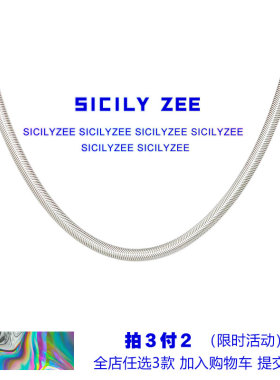 蛇骨链小众冷淡风项链质感穿搭