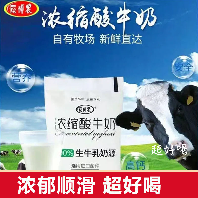 博农浓缩酸奶整箱装原味益生菌发酵乳早餐奶温奶含钙国货炒酸奶
