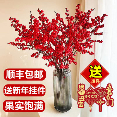 进口北美冬青红果鲜花真花鲜切年宵花卉植物室内新年绿植过年盆栽