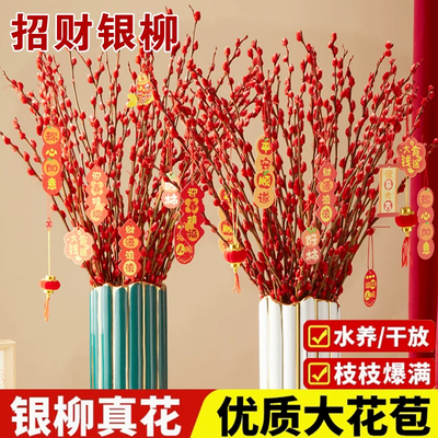 银柳干花真花鲜枝水培植物红色银柳年宵花卉福桶客厅室内装饰干花