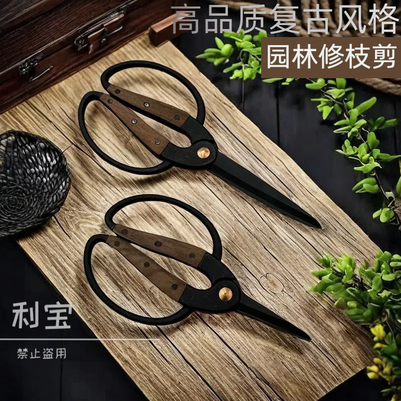 法兰剪园林家用花园剪刀不锈钢修剪盆栽树枝剪鲜花园艺剪花工具剪