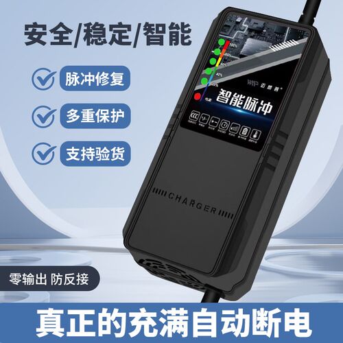 石墨烯新国标快充电动车电瓶充电器48V13AH60V24AH72V38A铅酸电流