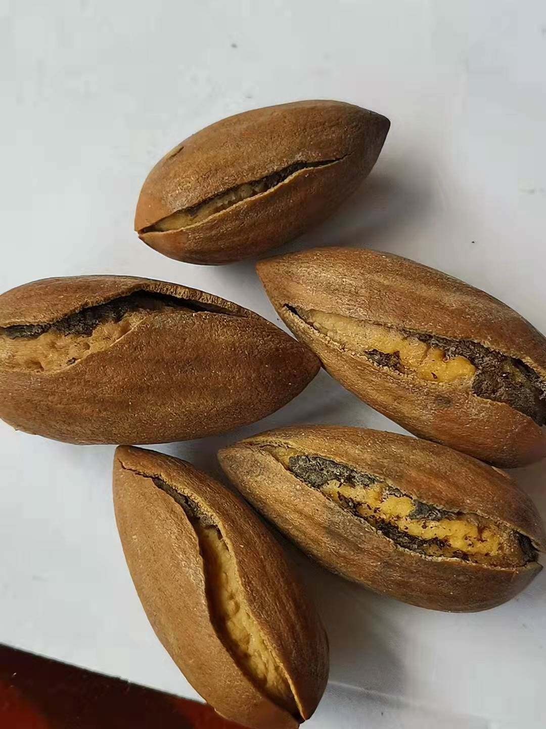 2023新鲜开口笑裂壳手剥诸暨枫桥香榧嵊州精品冠军香榧500克