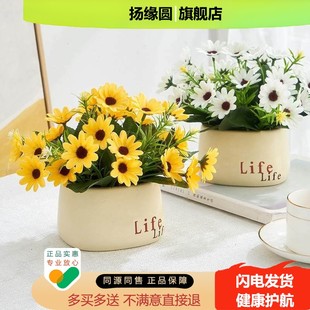 冰箱上的摆件上面摆的花上的装饰品顶部上放空调的客厅桌子装饰花