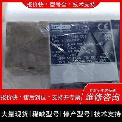 可维修Trafag压力传感器 9B0.2076/9B0.2078/议价