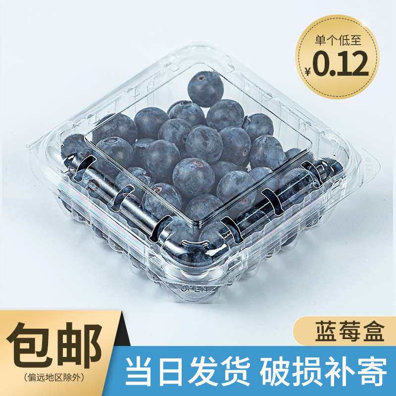 一次性水果盒子带盖透明塑料蓝莓盒125克包装盒一斤装水果包装盒