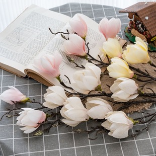 朝花絮语单支辛夷INS风家居装饰跨境婚庆假花仿真花CL22002