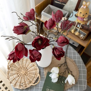 跨境朝花絮语单支辛夷假花INS风仿真花家居装饰婚庆CL22002