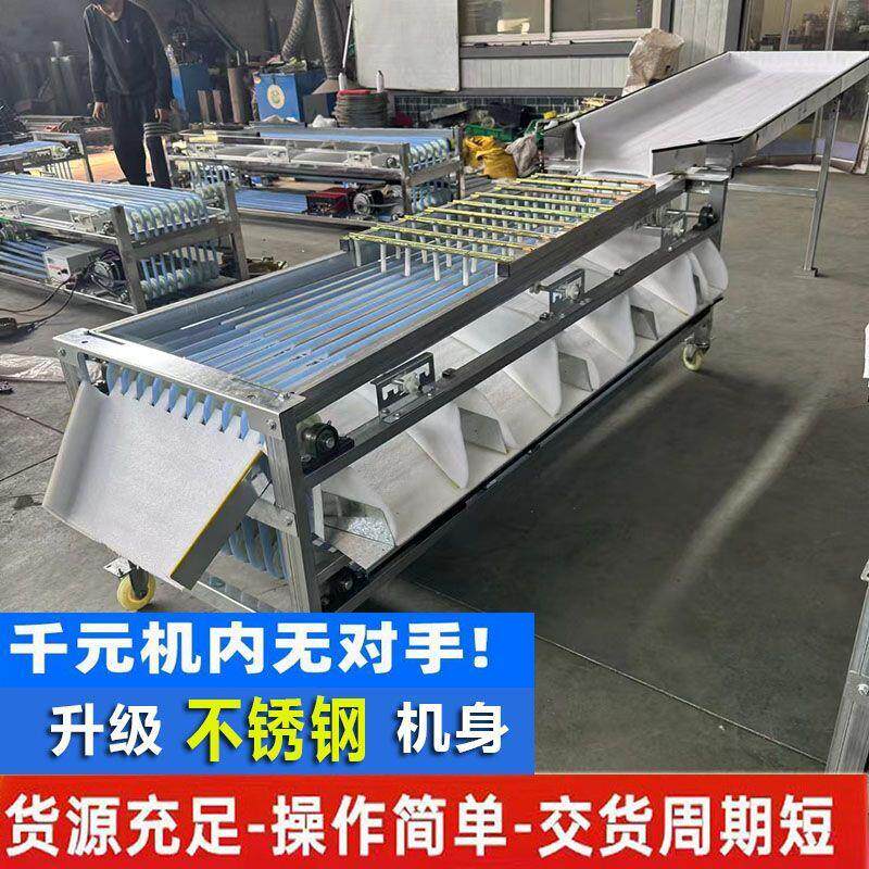 新款轨道式分选机李子圣女果分选大小机器百香果槟榔冬枣脐橙分选