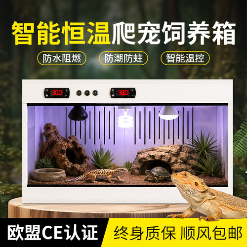 爬箱PVC加热保温饲养箱