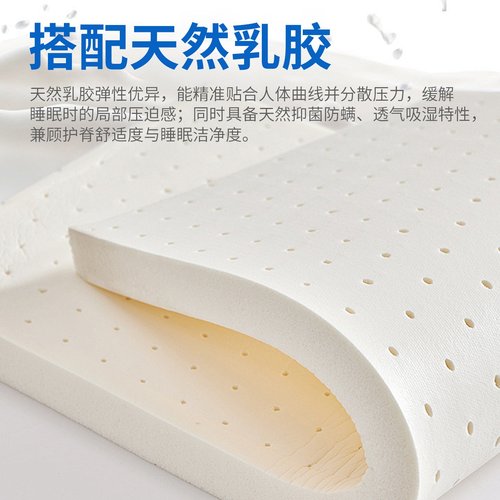 软硬两用乳胶黄麻床垫家用椰棕床垫学生宿舍榻榻米床垫订做定制