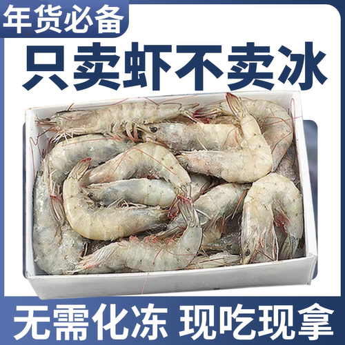 大海十三2030规格特大无冰大海虾