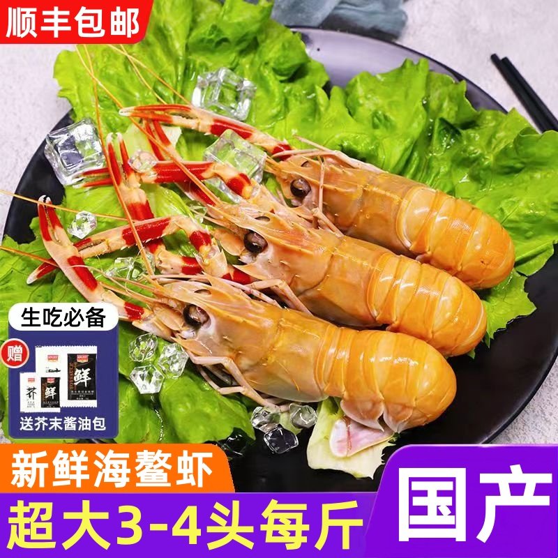 净重900g国产海鳌虾到手7-9头