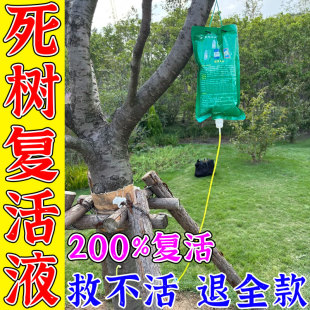 大树营养液吊针袋移栽定植灵枯果树强力生根树木激活液再生复活液