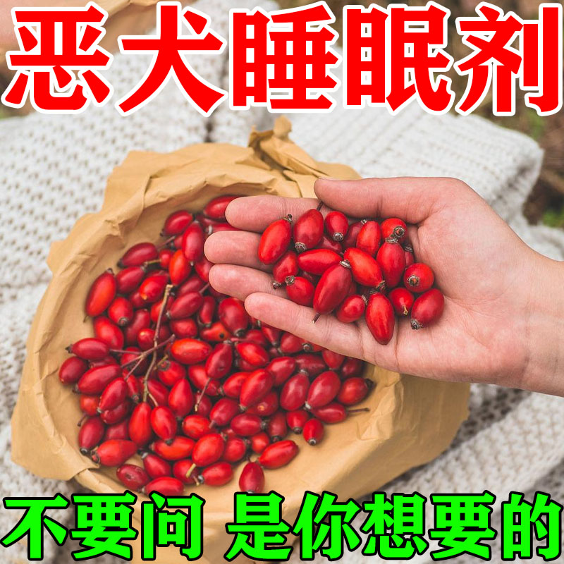 狗狗麻醉镇定剂快速睡眠强力情绪猫狗通用营养膏