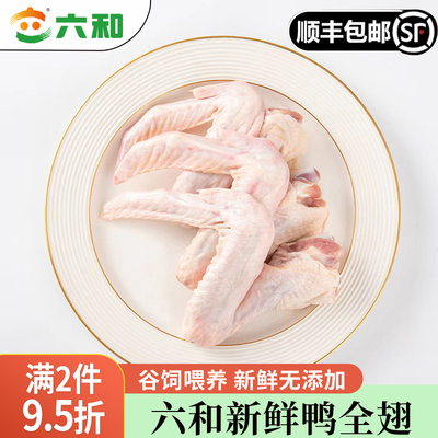 六和鸭全翅鸭三节翅生鲜鸭翅卤味火锅烧烤食材商用批发