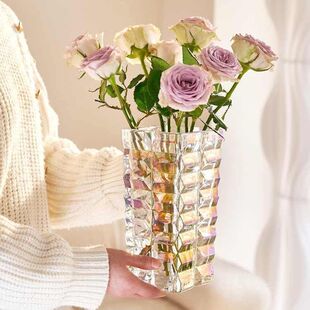 欧式加厚高颜值ins风水晶方形玻璃花瓶插玫瑰富贵竹透明花瓶摆件