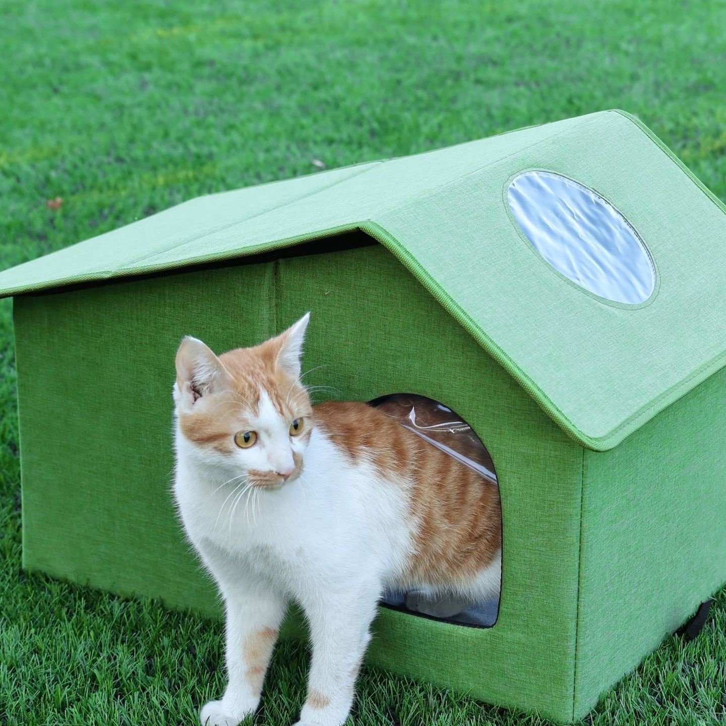 斜顶可折叠猫窝四季通用便携宠物窝户外防潮带天窗猫屋猫房子,宠物/宠物食品及用品,猫笼子/猫别墅,淘宝优惠券,粉丝福利购,淘宝优惠卷