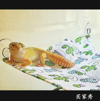 蜥蜴仙人掌小仓鼠吊床变色龙蛇爬行动物爬宠睡窝小宠玩具秋千