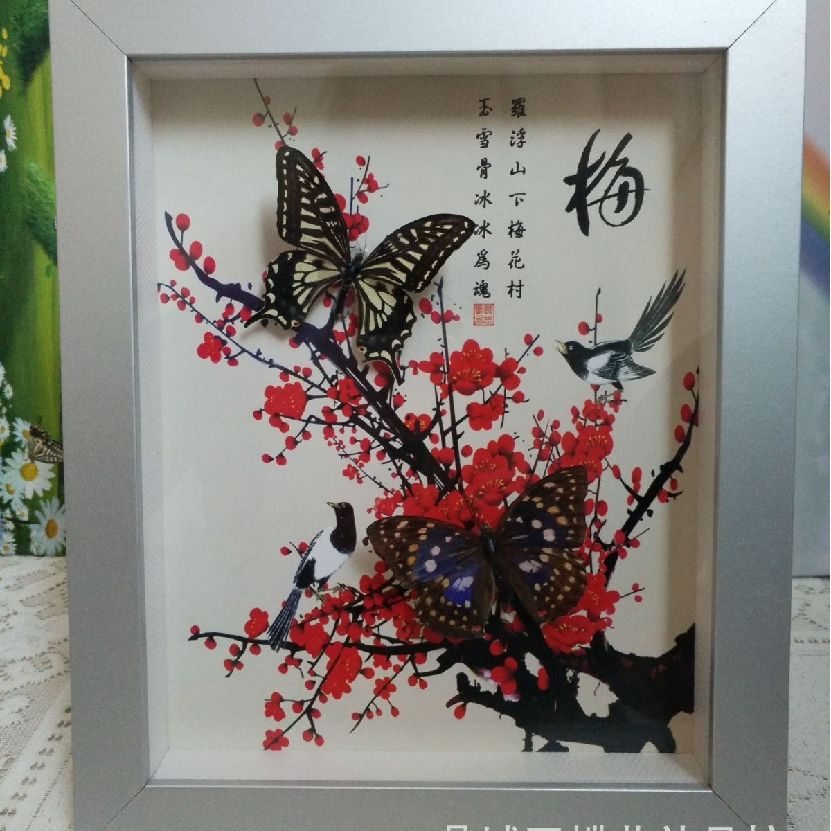 蝴蝶标本蝴蝶工艺品家庭装饰品梅兰竹菊套框10寸相框画框图片